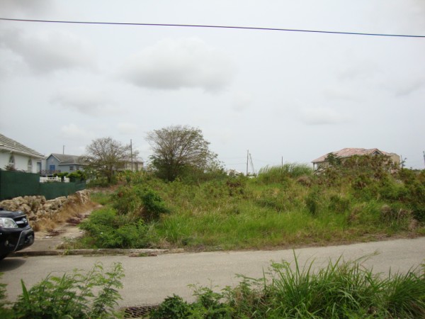 DSC01244