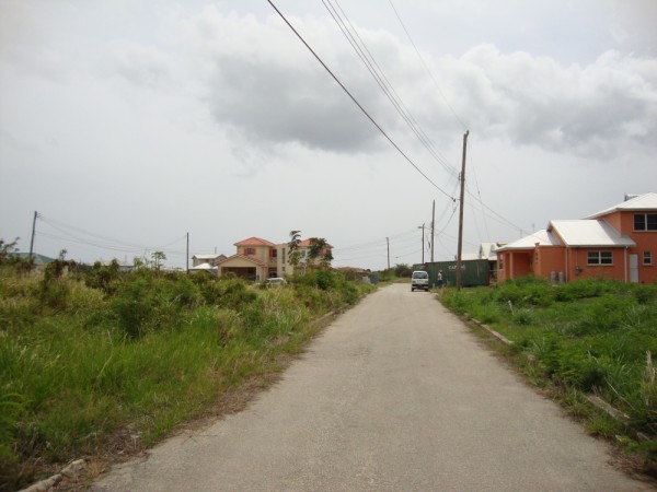 DSC01247