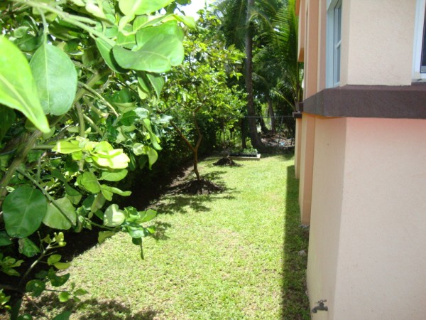 DSC01345
