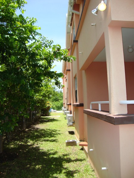 DSC01346