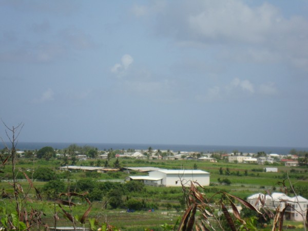 DSC01360