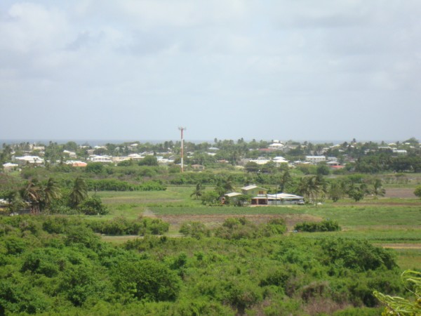 DSC01363