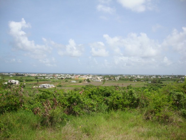 DSC01368
