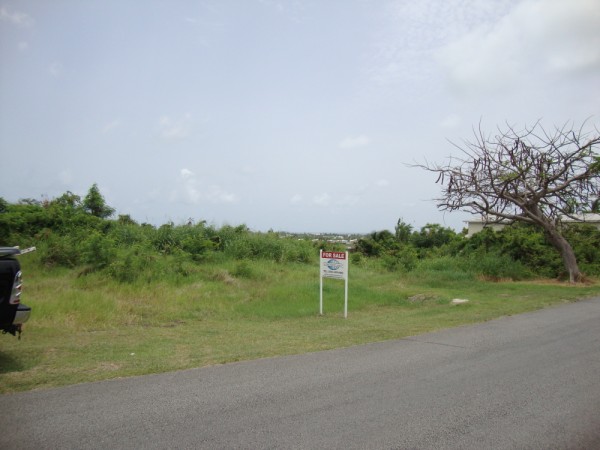 DSC01385