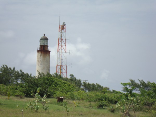 DSC01390
