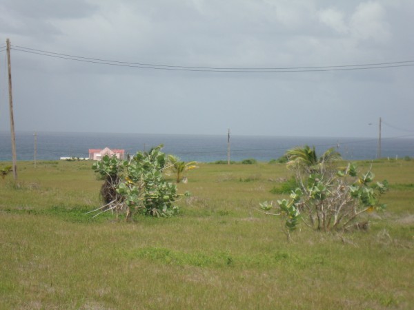 DSC01391