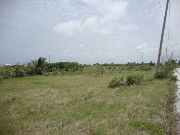 DSC01392