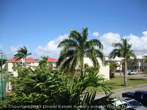 DSC03417_wm