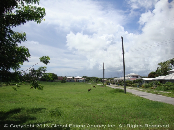 DSC04146_wm1