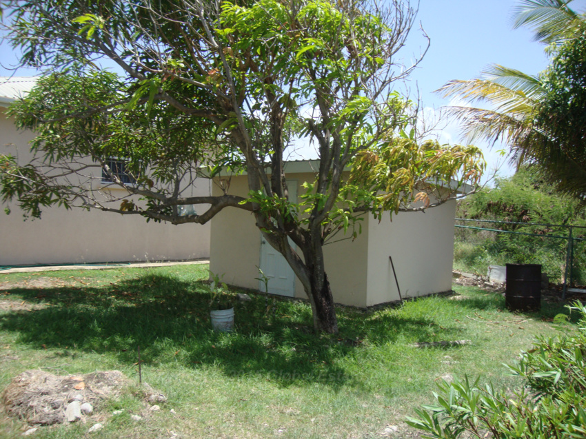 DSC05963