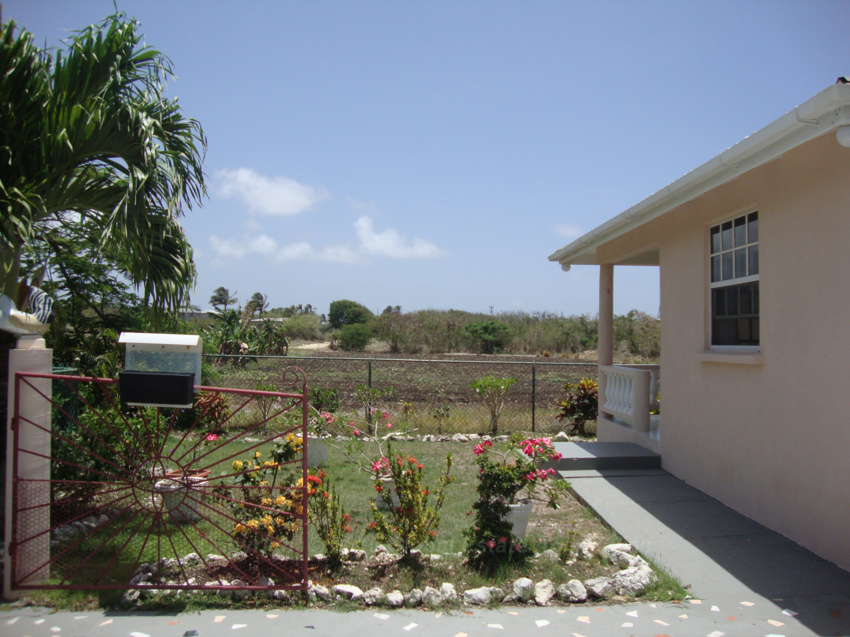 DSC05965