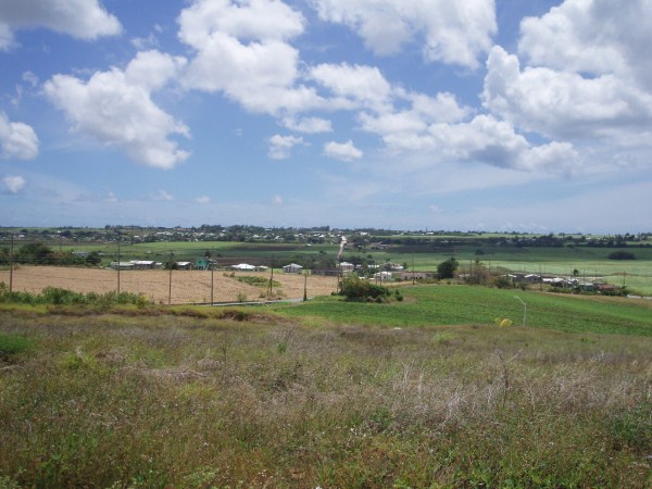 P10100098