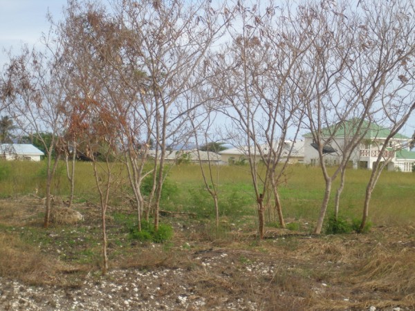 P1083040