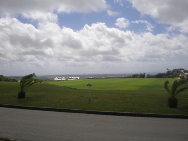 P12931521
