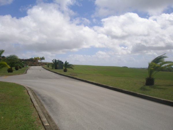 P12931531