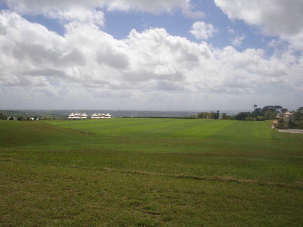 P12931542