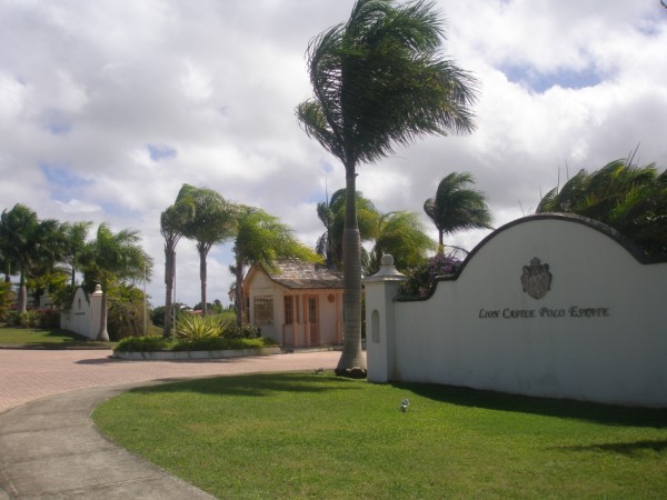 P12931581