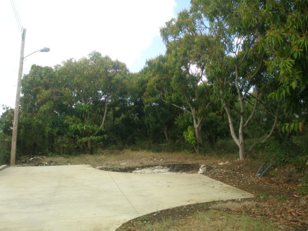 P2033192