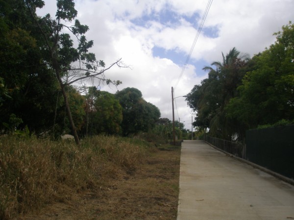 P2033193