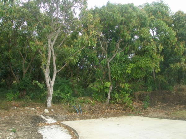 P2033195