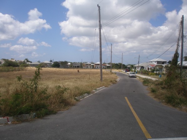 P21332881