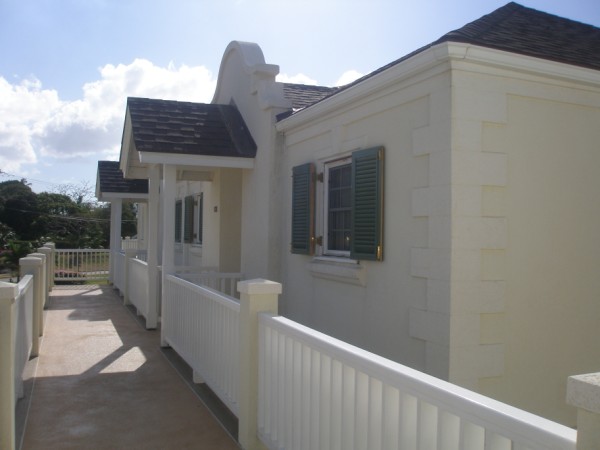 P21833382