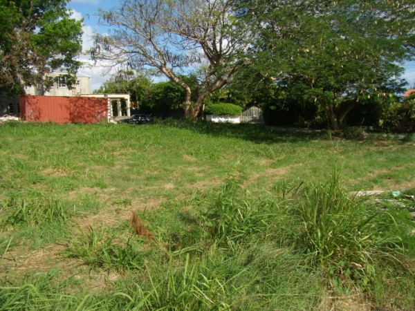 P5030002