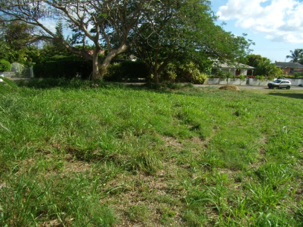 P5030003