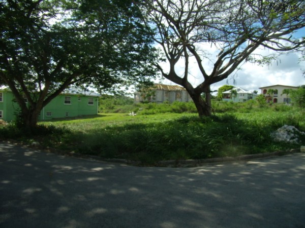 P5030004