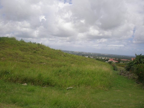 P7252406