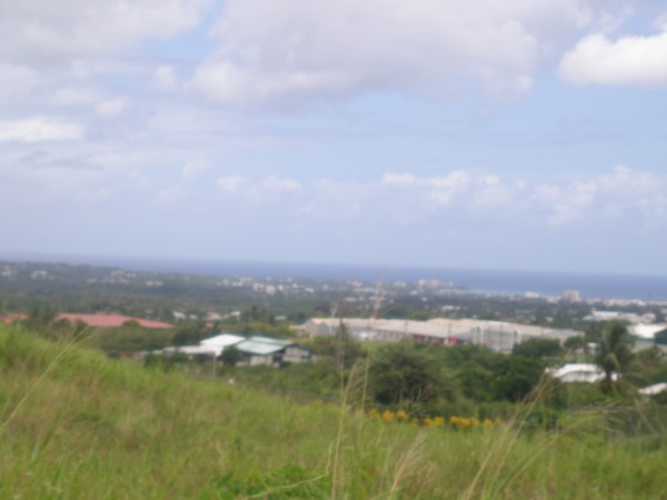P7252407
