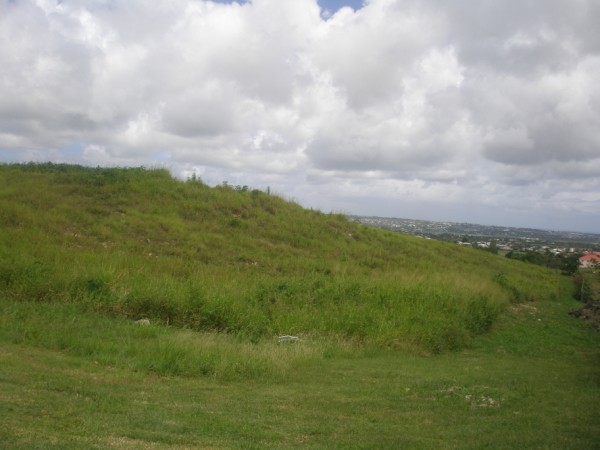 P7252410