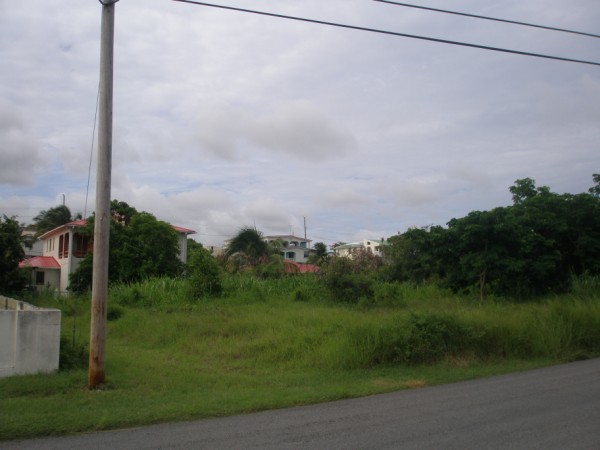 P8202513