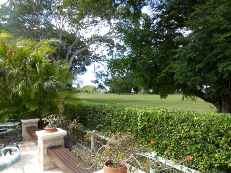 View13